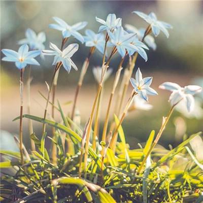 江南体育手机app下载